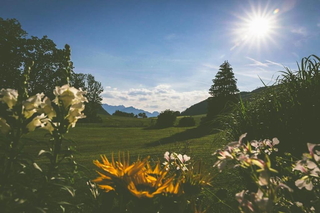 Fritzis Alpenidyll „Sommertraum & Winterromantik” Samerberg Eksteriør billede