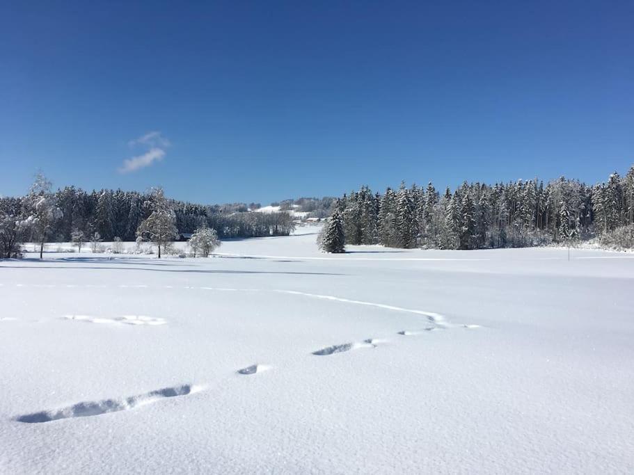 Fritzis Alpenidyll „Sommertraum & Winterromantik” Samerberg Eksteriør billede